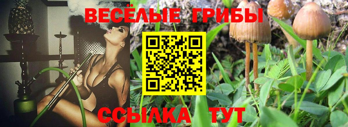 Галлюциногенные грибы ЛСД Усинск